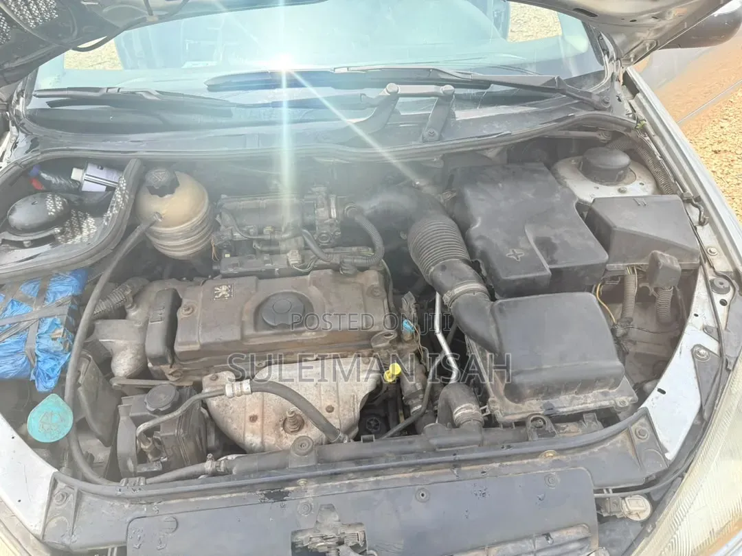 Peugeot 206 2006 Silver