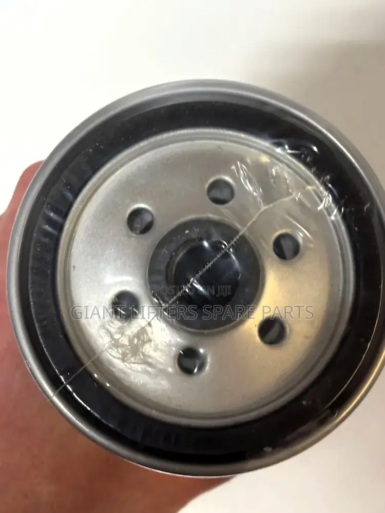 Ffp0100 Fuel Filter – Dongfeng