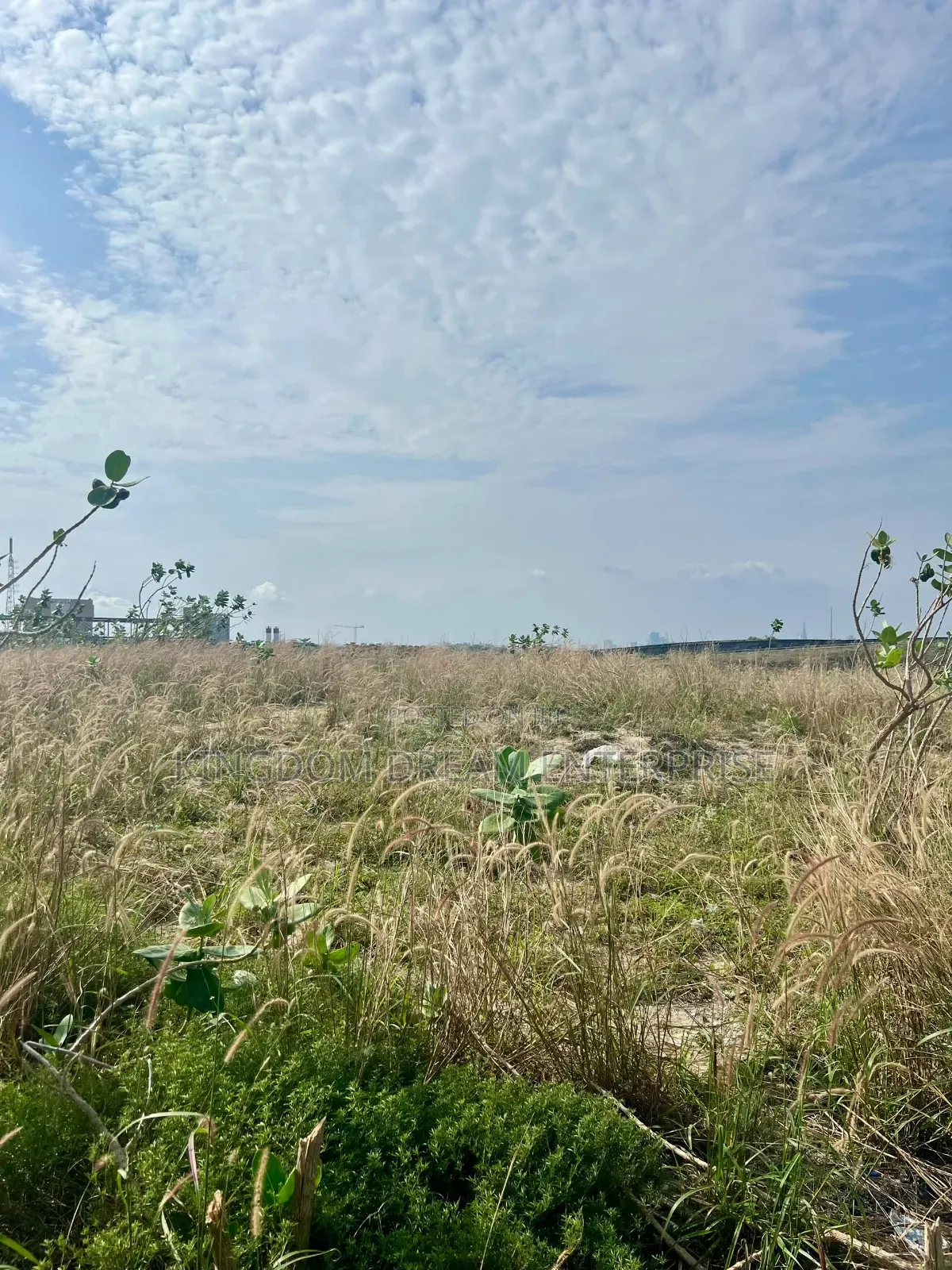 Premium Eko Atlantic Lands for Sale