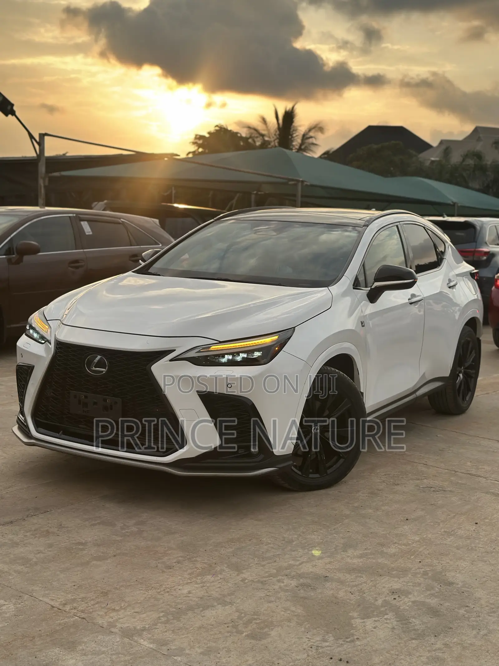 Lexus NX 350 Luxury AWD 2024 White