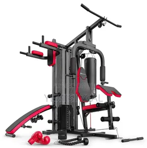 Multi Station Gym Workout With Punching Bag and Gloves