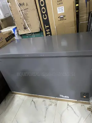 Hisense FC-55DD 420L Freezer for Chicken and Meat