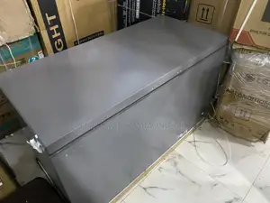 Hisense 420L Chest Freezer FC-55DD for Frozen Vegetables
