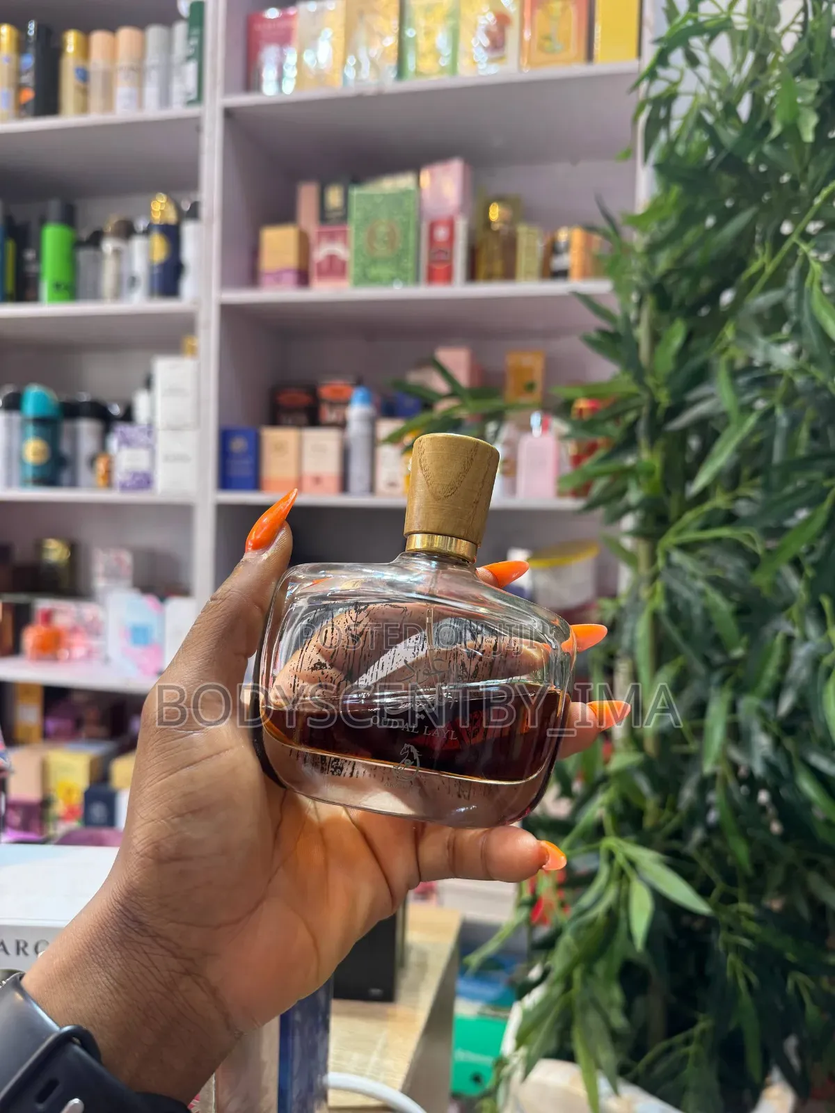 Oud Al Layl Perfume / Oud Al Layl Midnight Edition Perfume