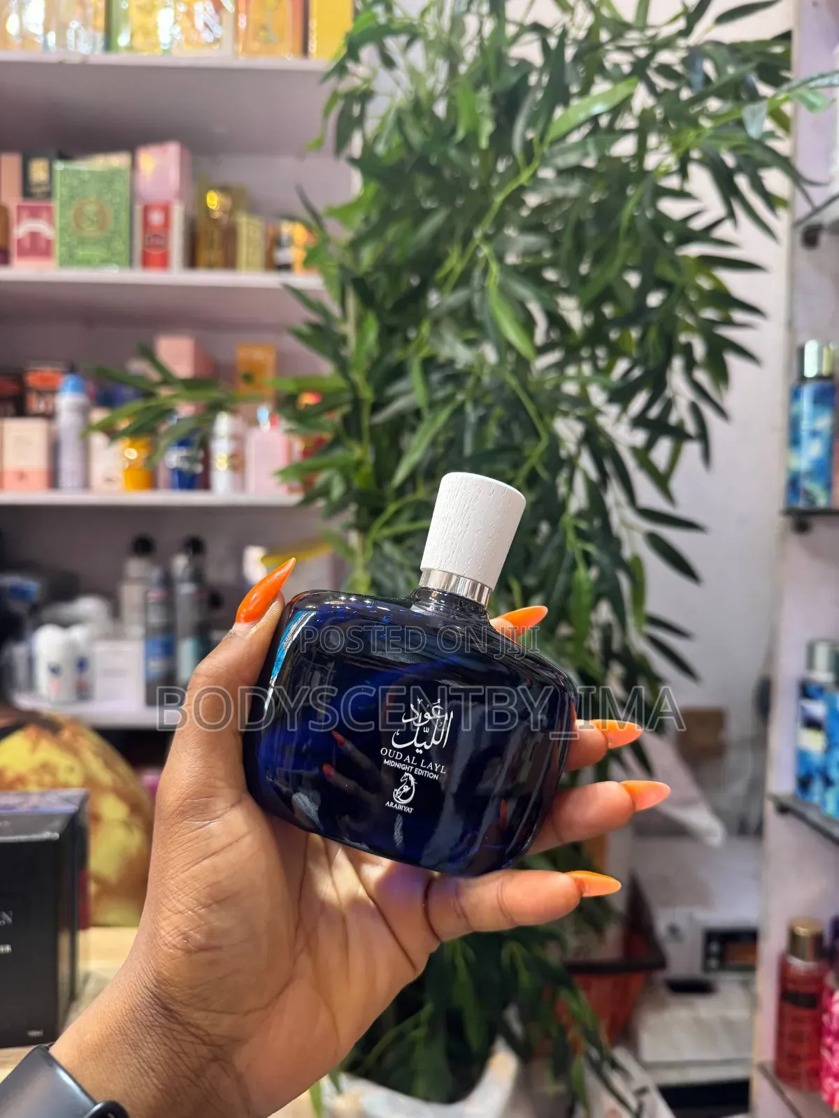 Oud Al Layl Perfume / Oud Al Layl Midnight Edition Perfume