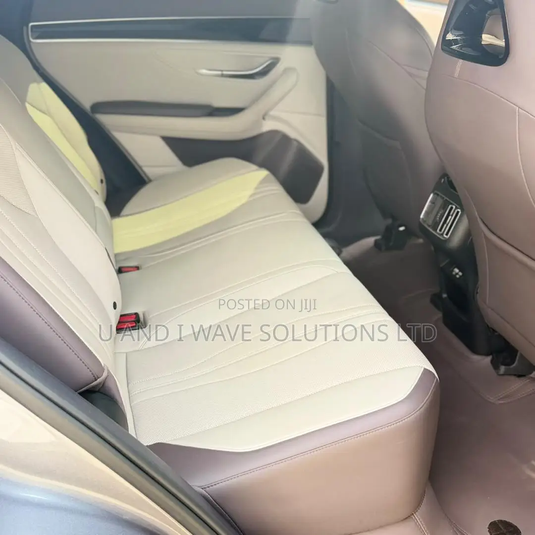 BYD Song Plus DM-i 2024 Gray