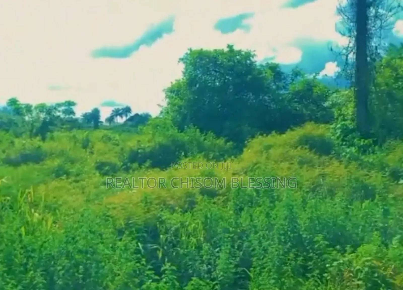 54 Plots of Land for Sale With CofO Along Umuahia/Enugu Express Road