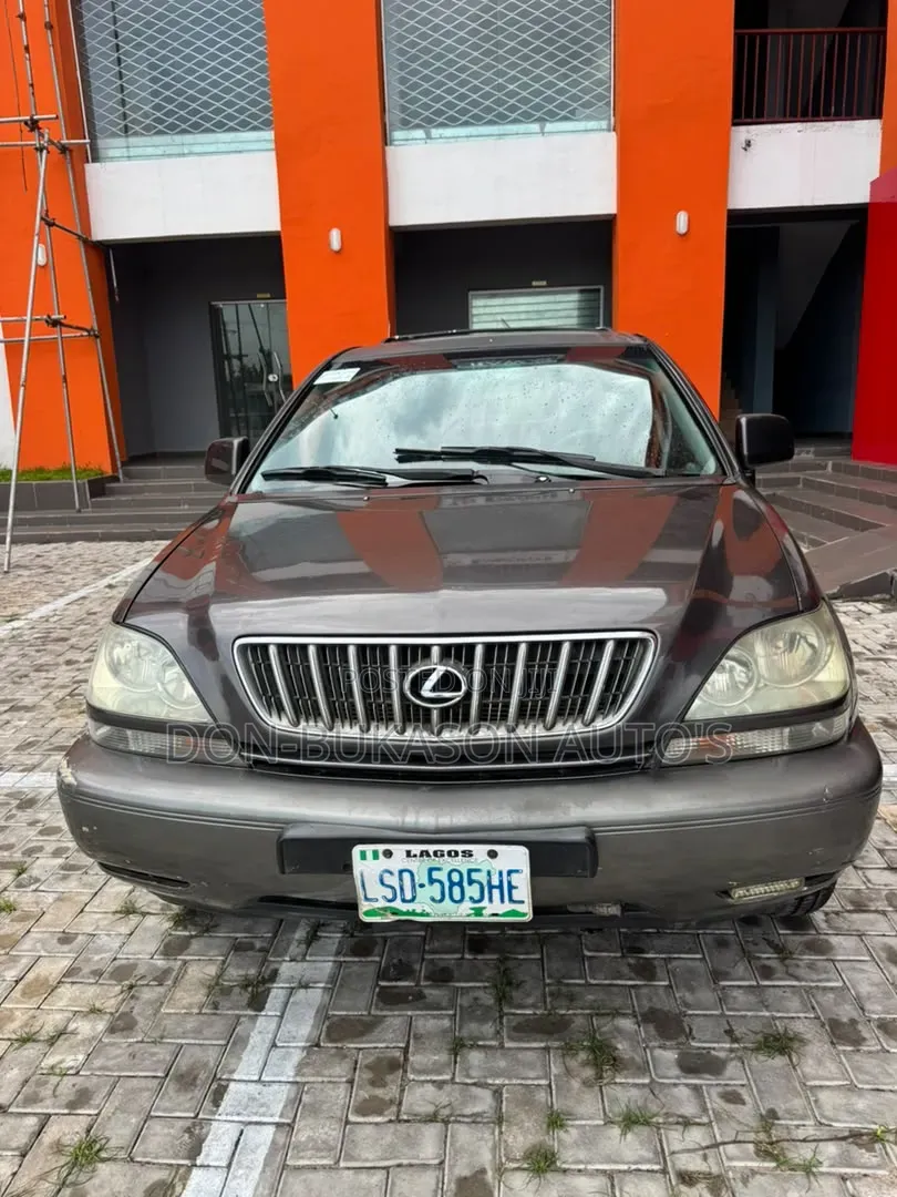 Lexus RX 300 4WD 2003 Gray