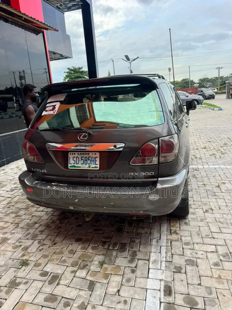 Lexus RX 300 4WD 2003 Gray