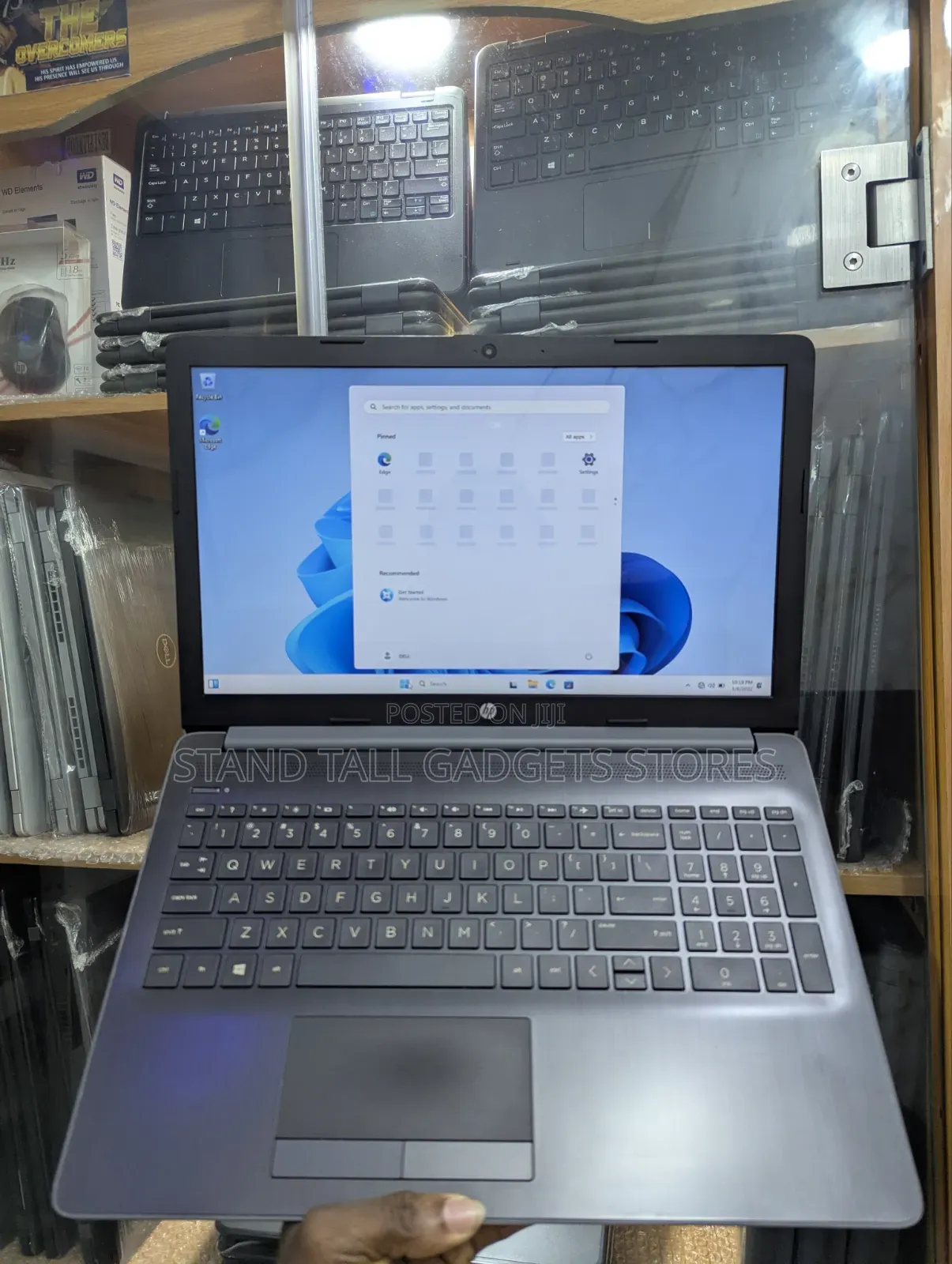 Laptop HP 15 8GB AMD SSD 128GB