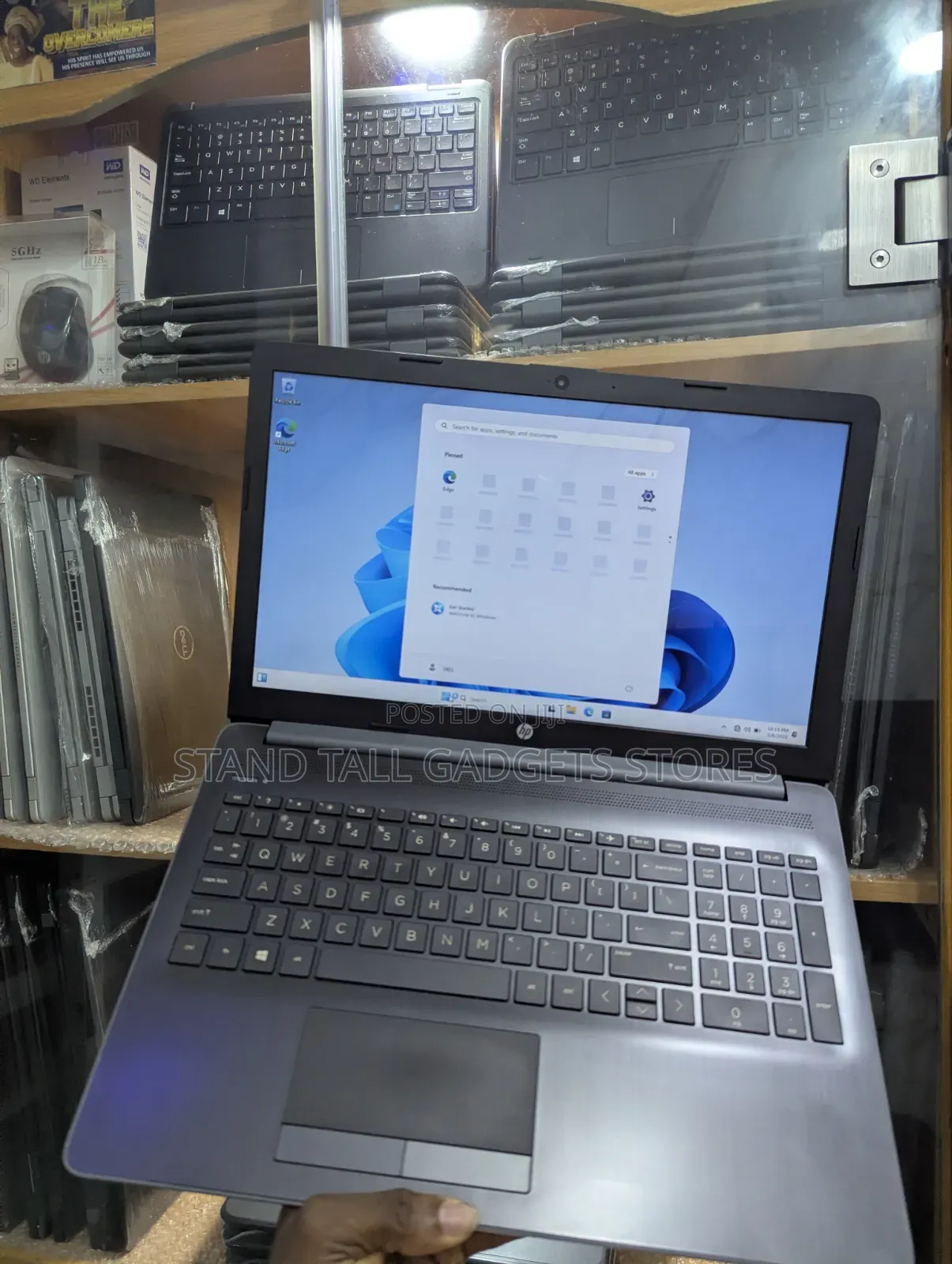 Laptop HP 15 8GB AMD SSD 128GB