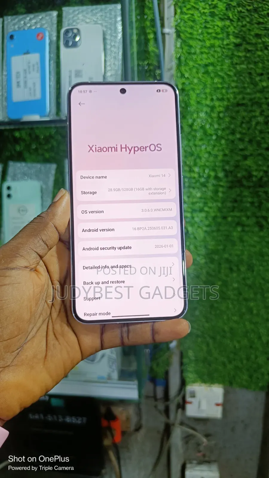 Xiaomi 14 512 GB Pink
