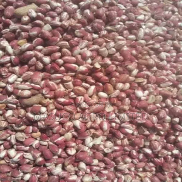 Groundnut 100kg,50kg