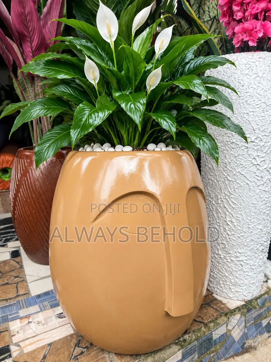 Golden Elegance Face Vase With Peace Lily