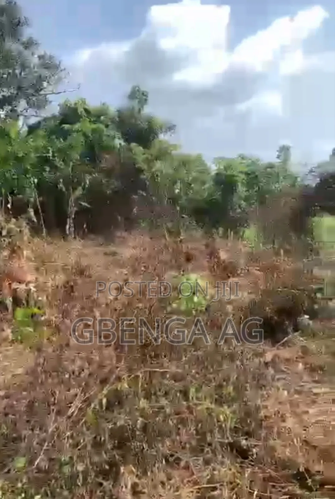 4 Plots of Land for Sale at Ibese Ilaro Ogun State