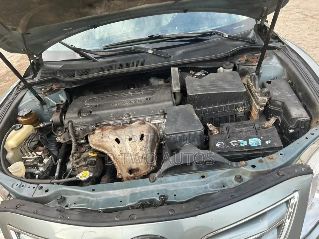 Toyota Camry XLE 4dr Sedan (2.4L 4cyl 5A) 2009 Green