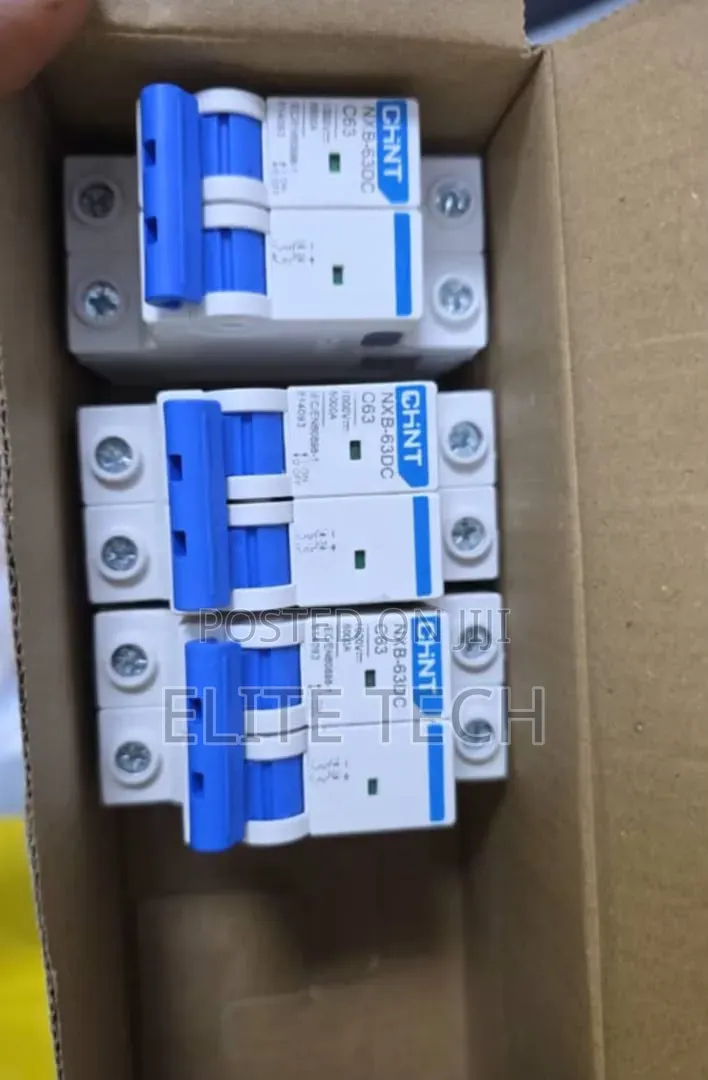 Original CHINT 63A 2-Pole MCB Circuit Breaker (NXB-63)