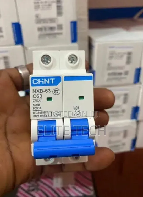 Original CHINT 63A 2-Pole MCB Circuit Breaker (NXB-63)