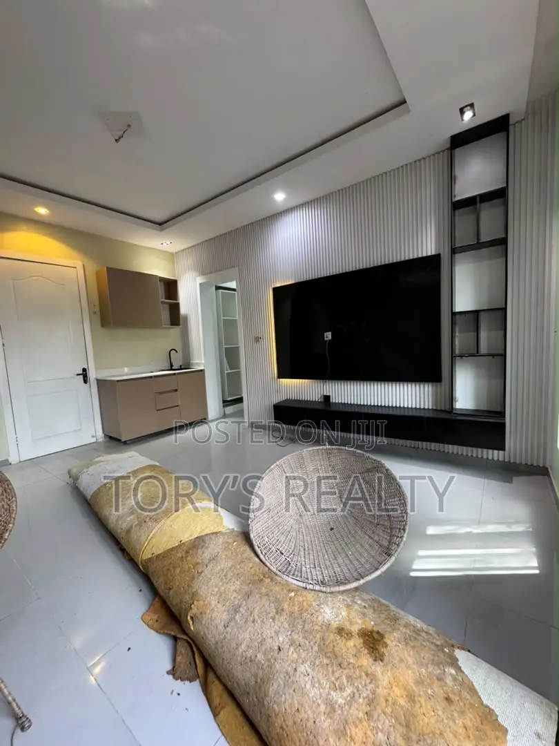 Studio Apartment in Adeola Odeku for rent