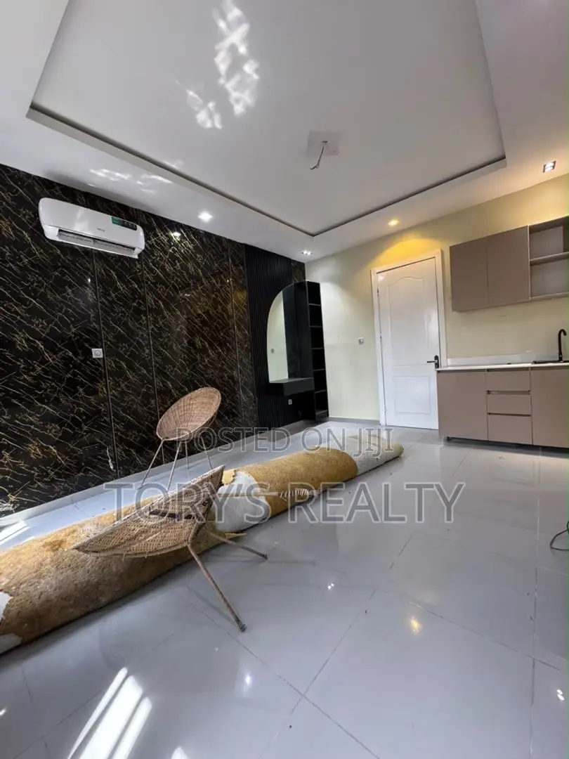 Studio Apartment in Adeola Odeku for rent