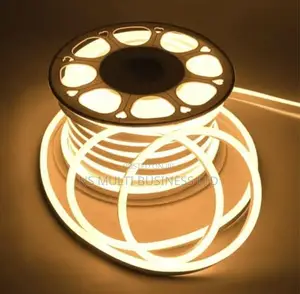 Neon Rope Light