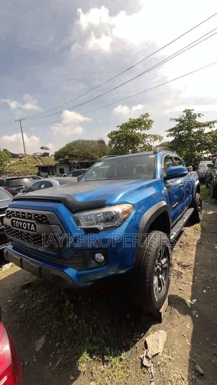 Toyota Tacoma 2017 Blue