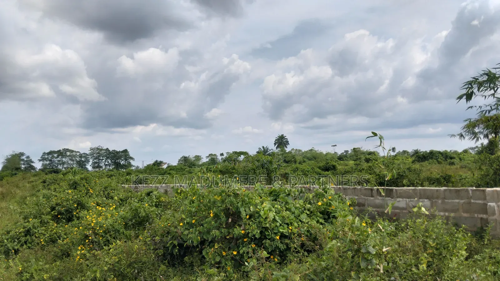 For Sale : 64 Plots at Igwuruta Roundabout , Ph, Rivers State