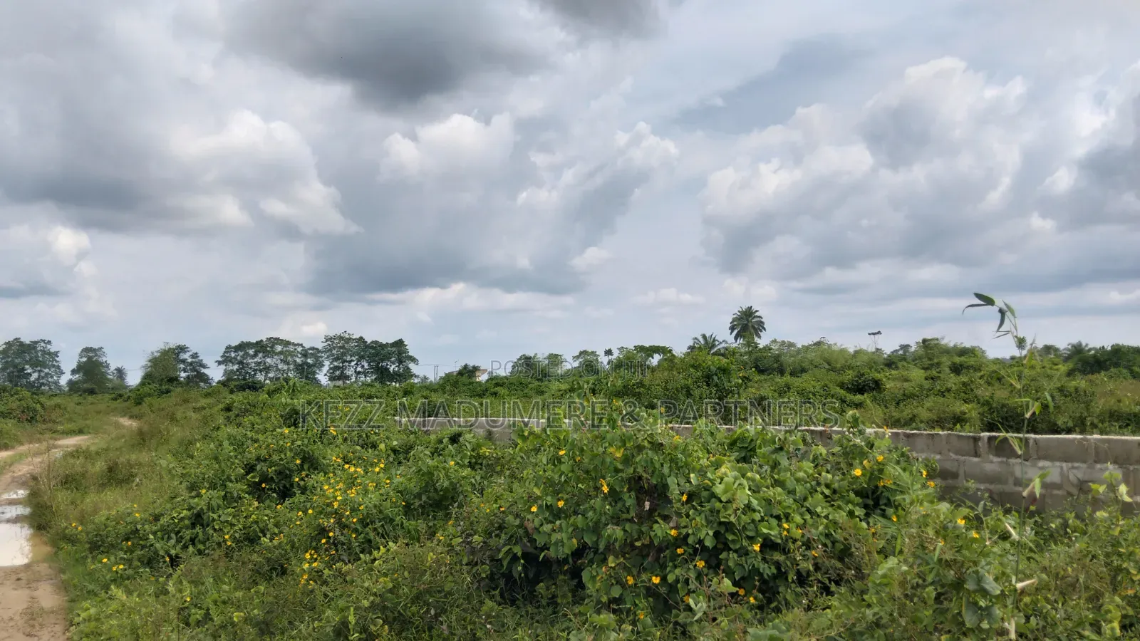 For Sale : 64 Plots at Igwuruta Roundabout , Ph, Rivers State