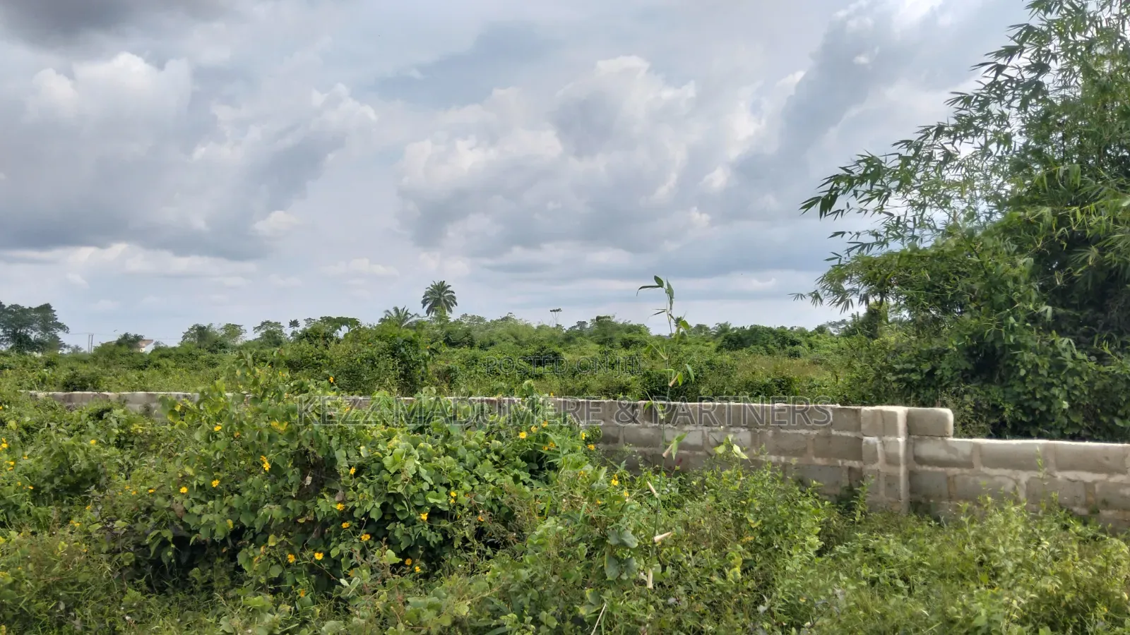 For Sale : 64 Plots at Igwuruta Roundabout , Ph, Rivers State