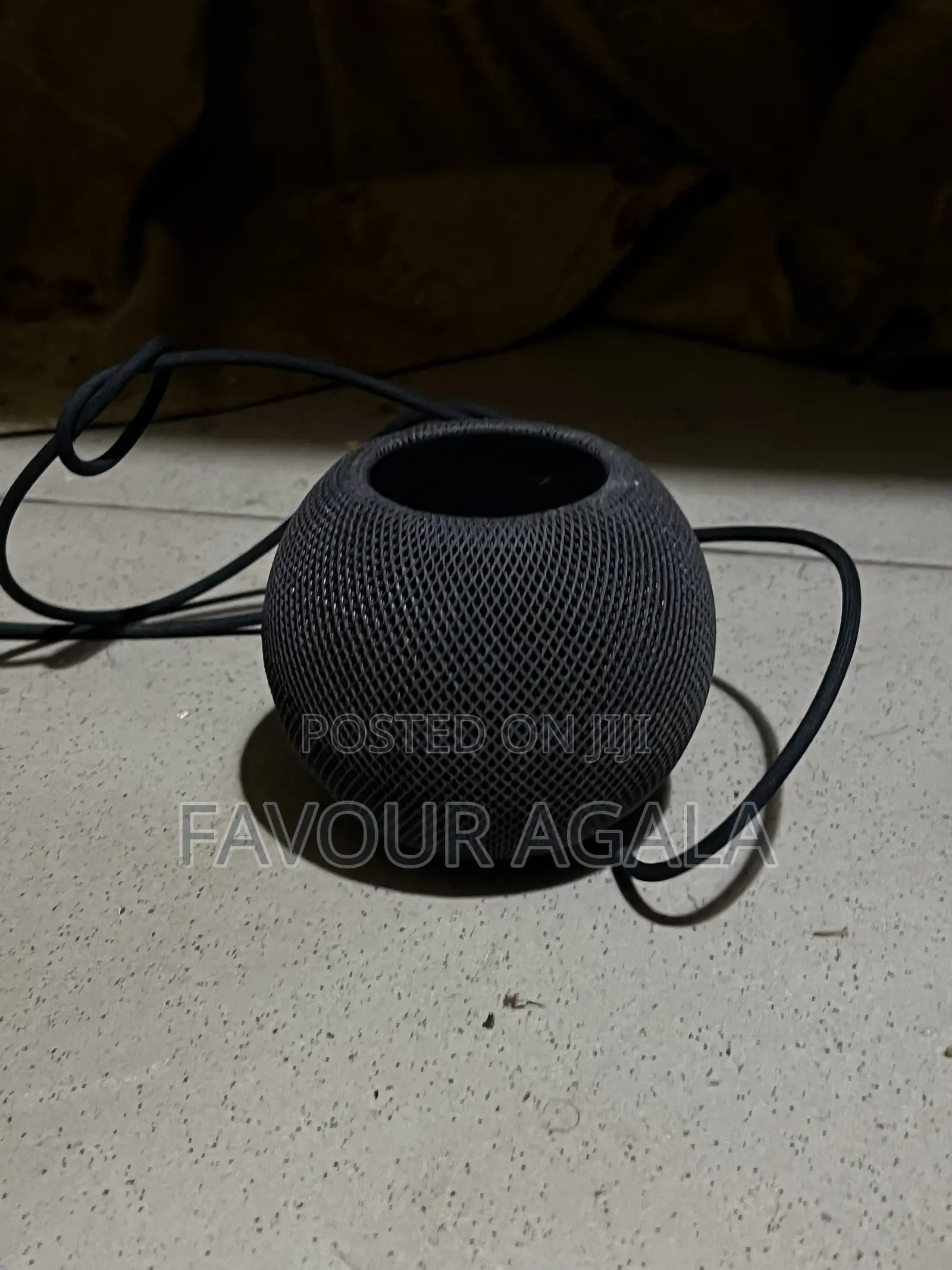 Apple Mini Home Pod
