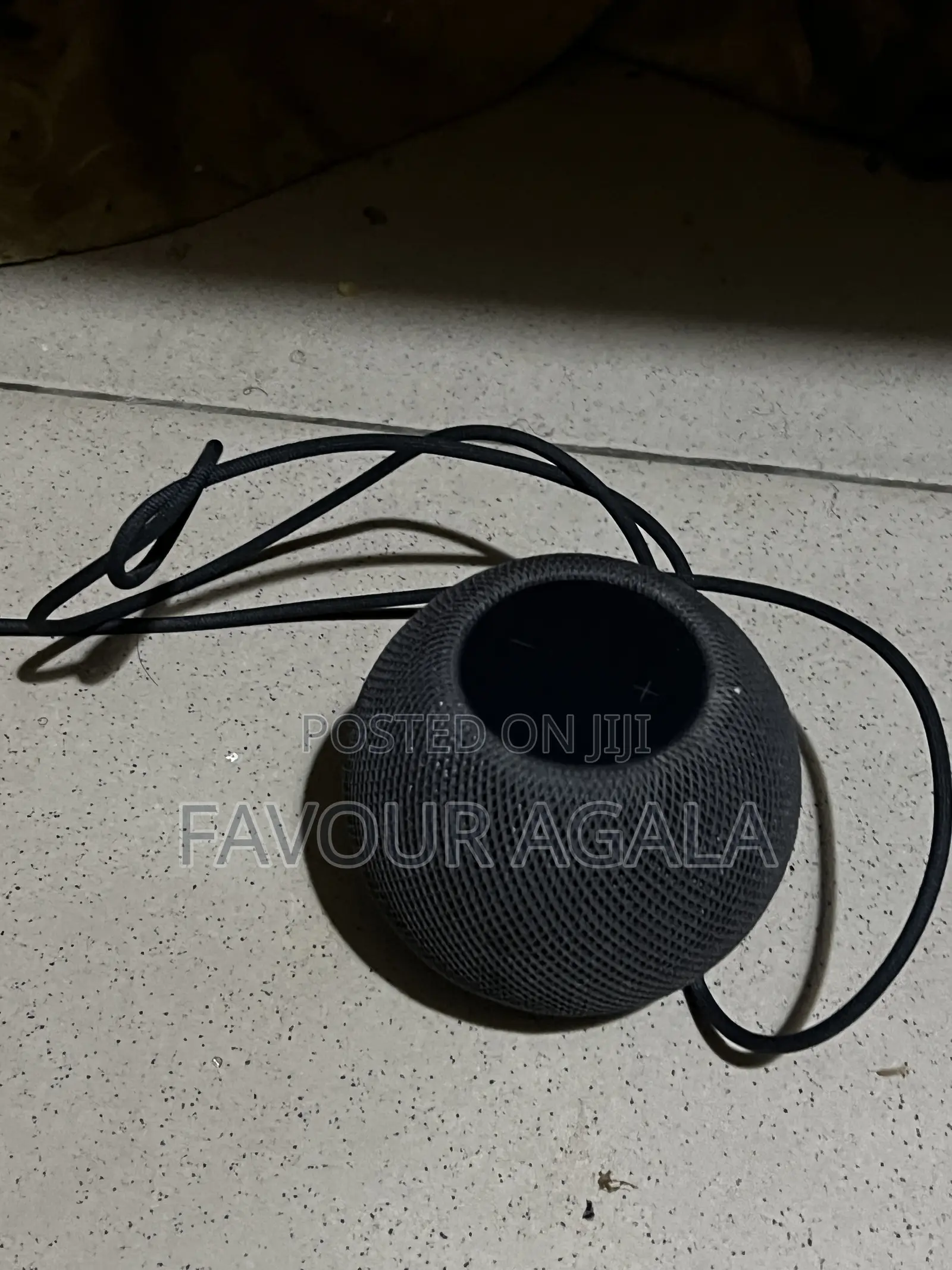 Apple Mini Home Pod