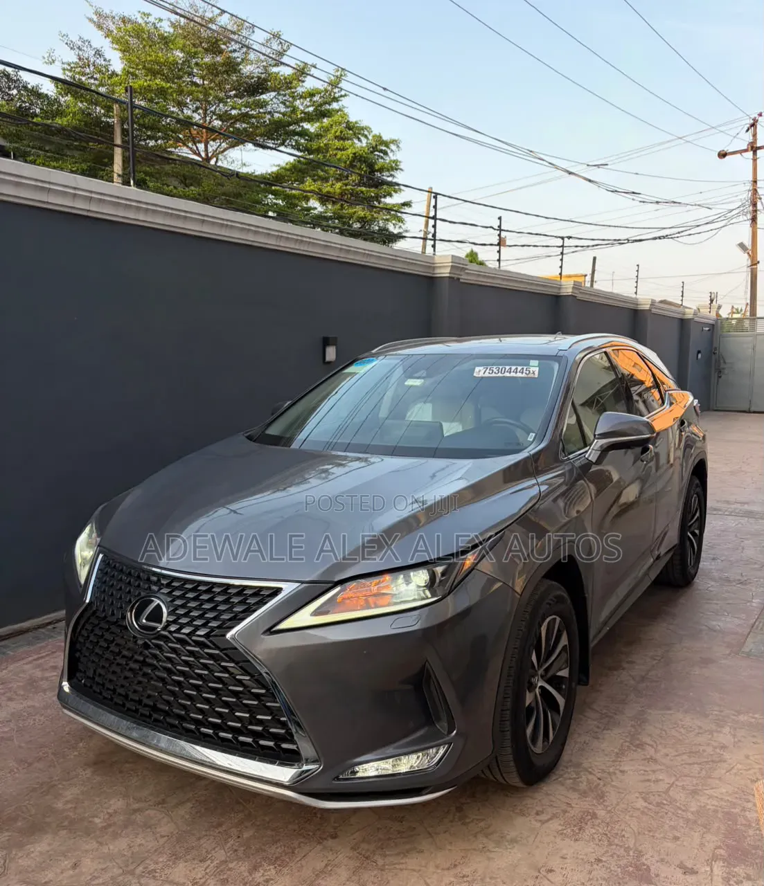 Lexus RX 2020 Gray