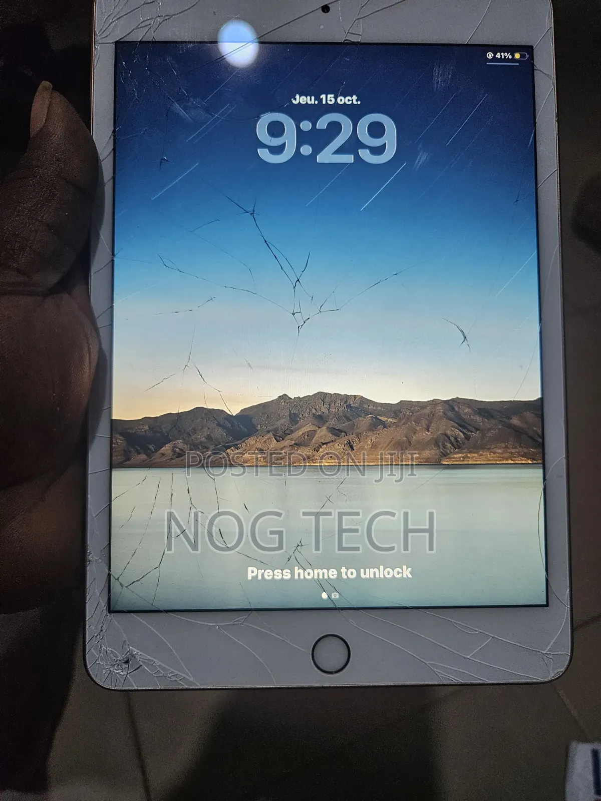 Apple iPad mini 5 (2019) 256 GB Gold