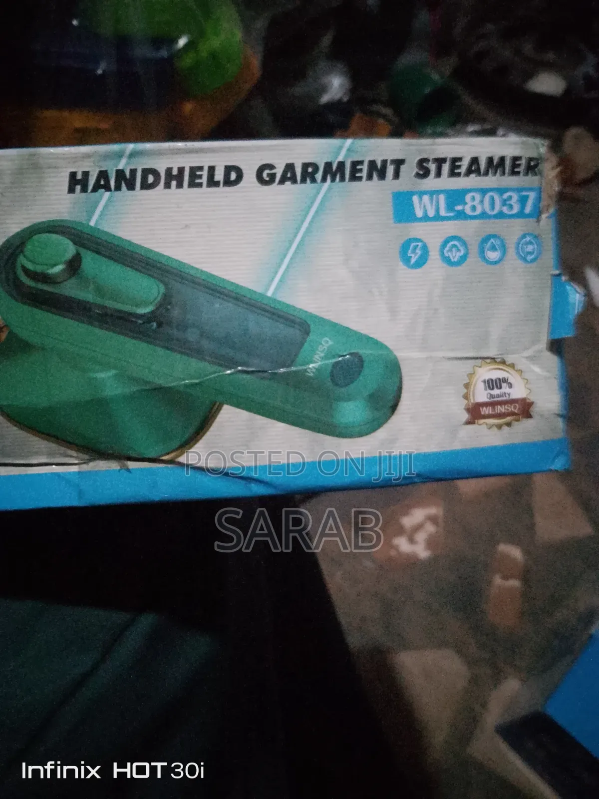 Handheld Garment Steamer (Mini Iron Machine)