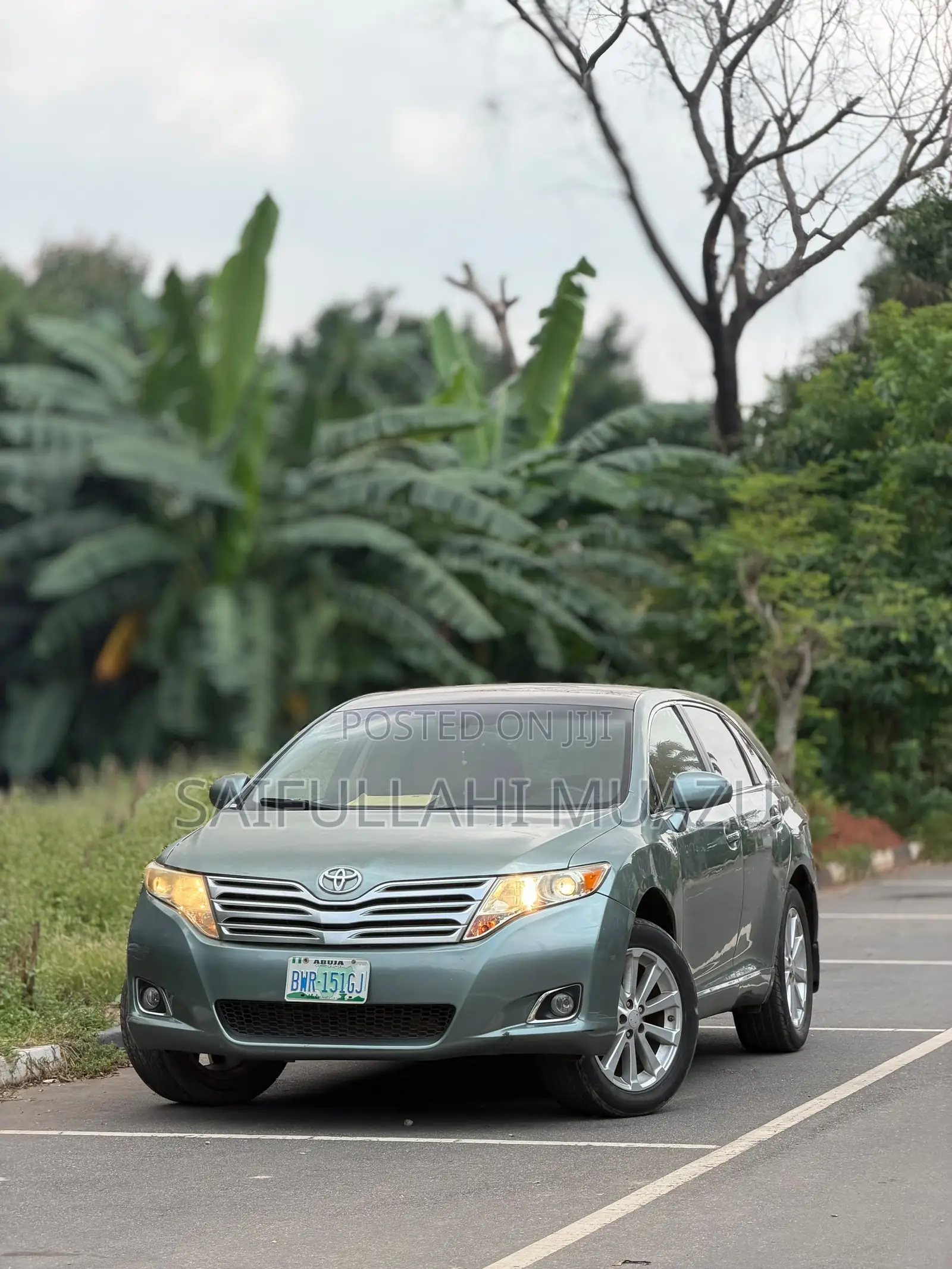 Toyota Venza 2010 Gray