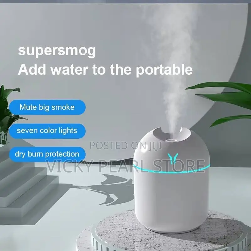 Mini Humidifier