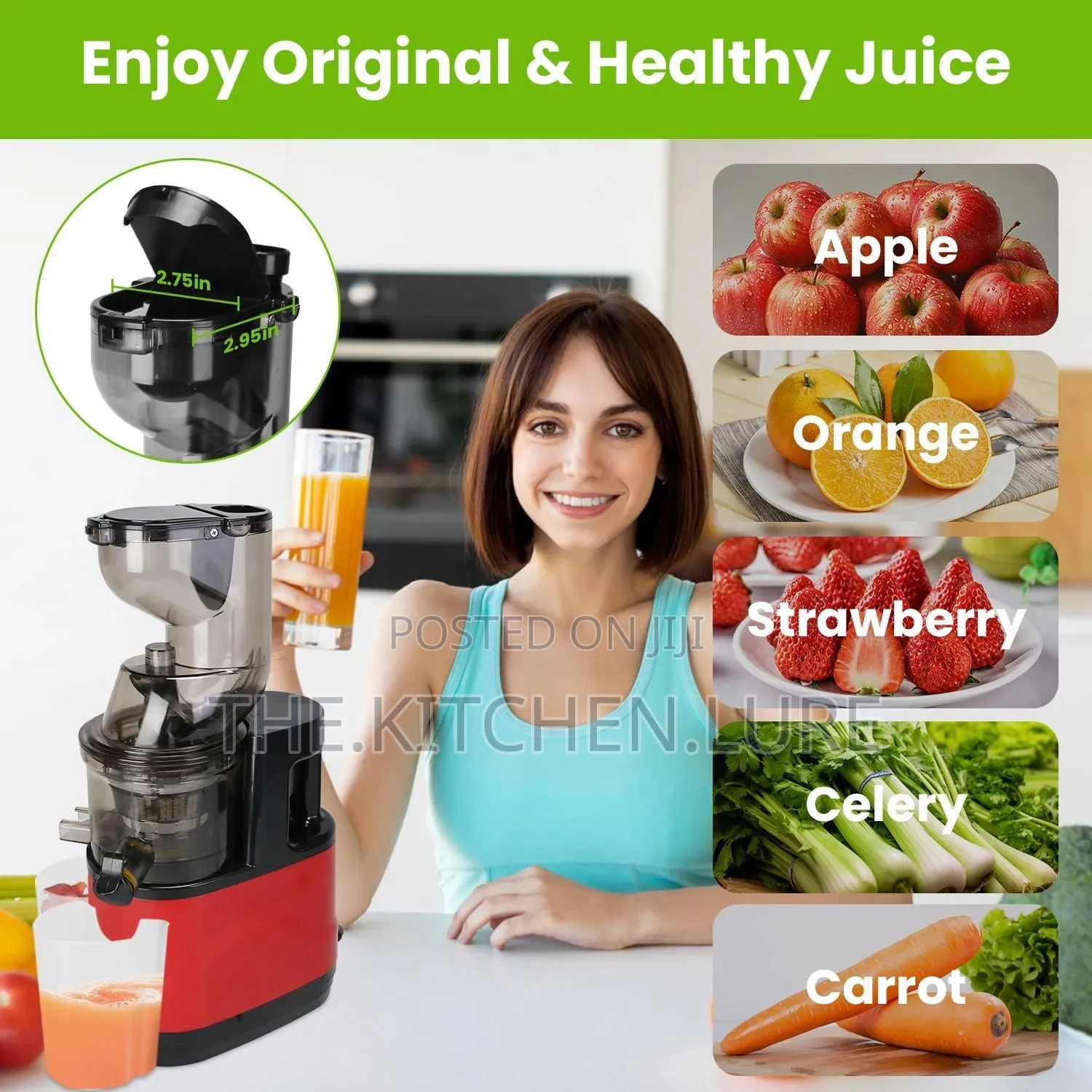 Bushburgh Cold Press Masticating Slow Juicer