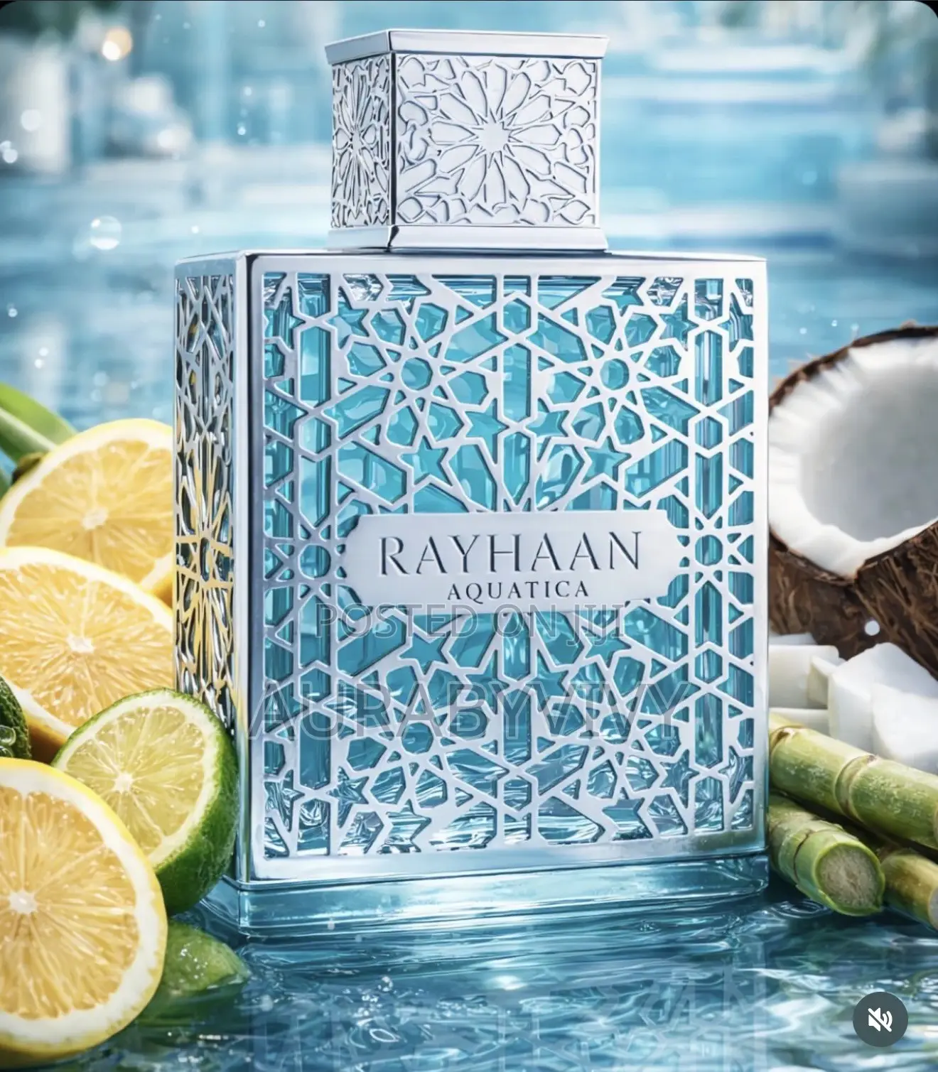 Original Rayhaan Aquatica Edp100ml