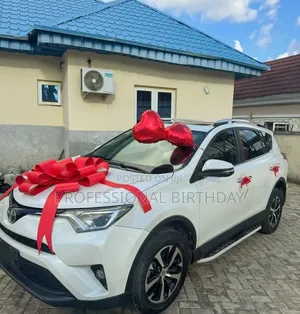 Beautiful Luxury Car Bow Luxury Lagos