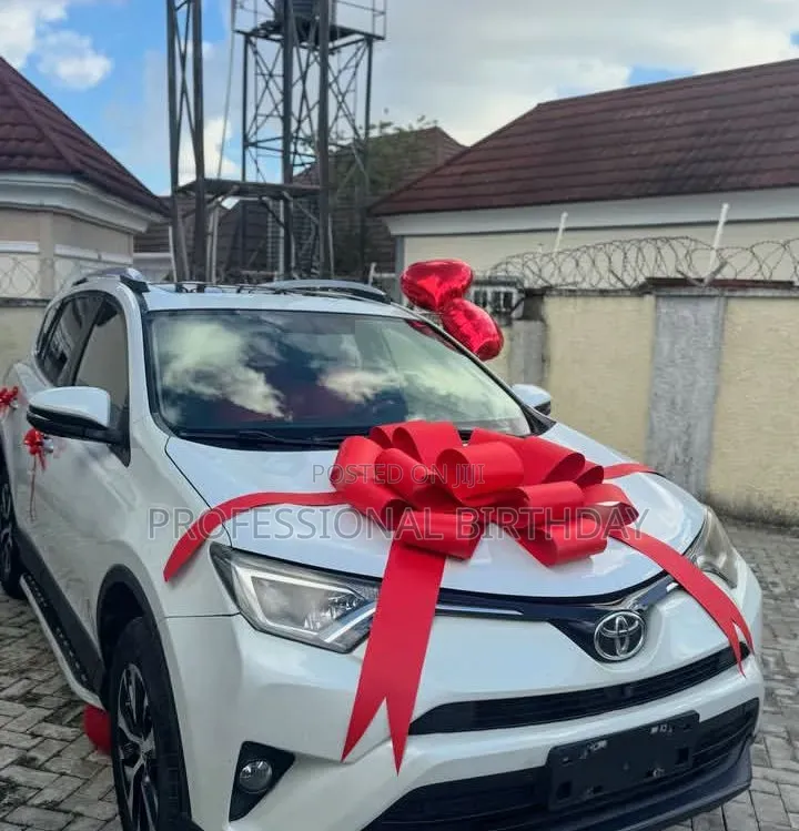Beautiful Luxury Car Bow Luxury Lagos