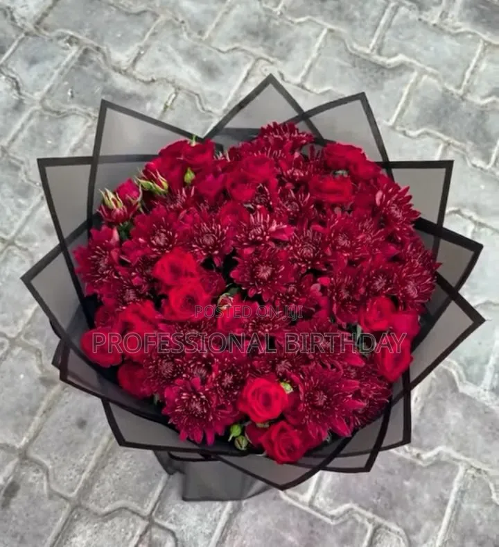 Where to Buy Fresh Roses Plant in Lagos