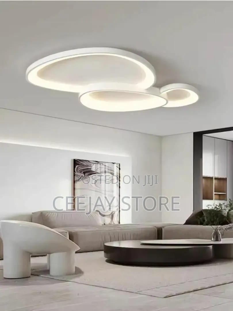 Modern LED Ceiling Flush