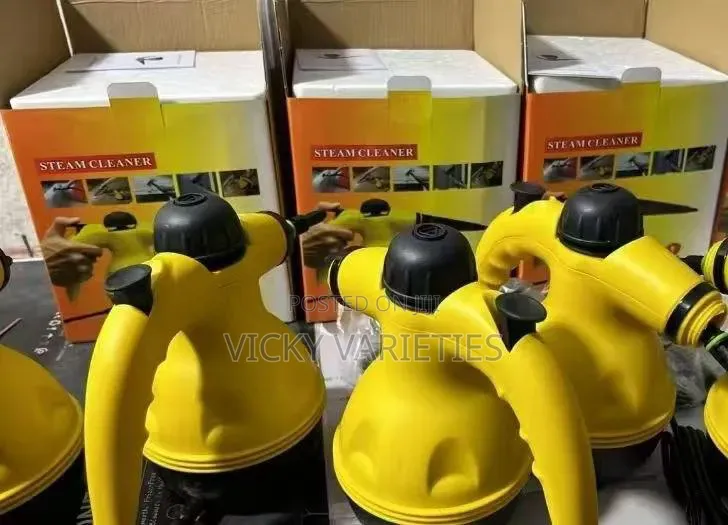 Steam Cleaner