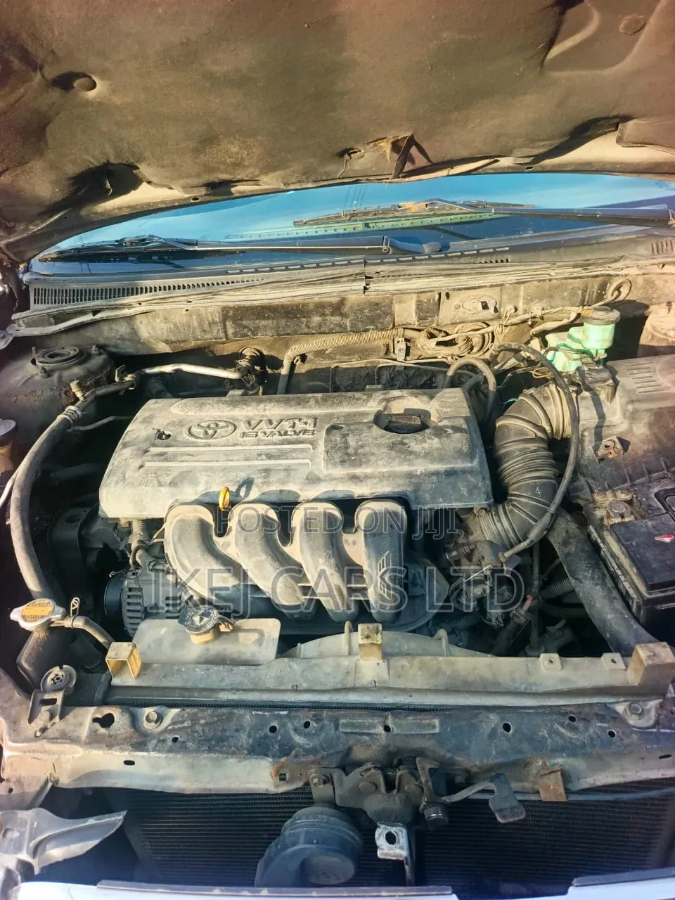 Toyota Corolla 2025