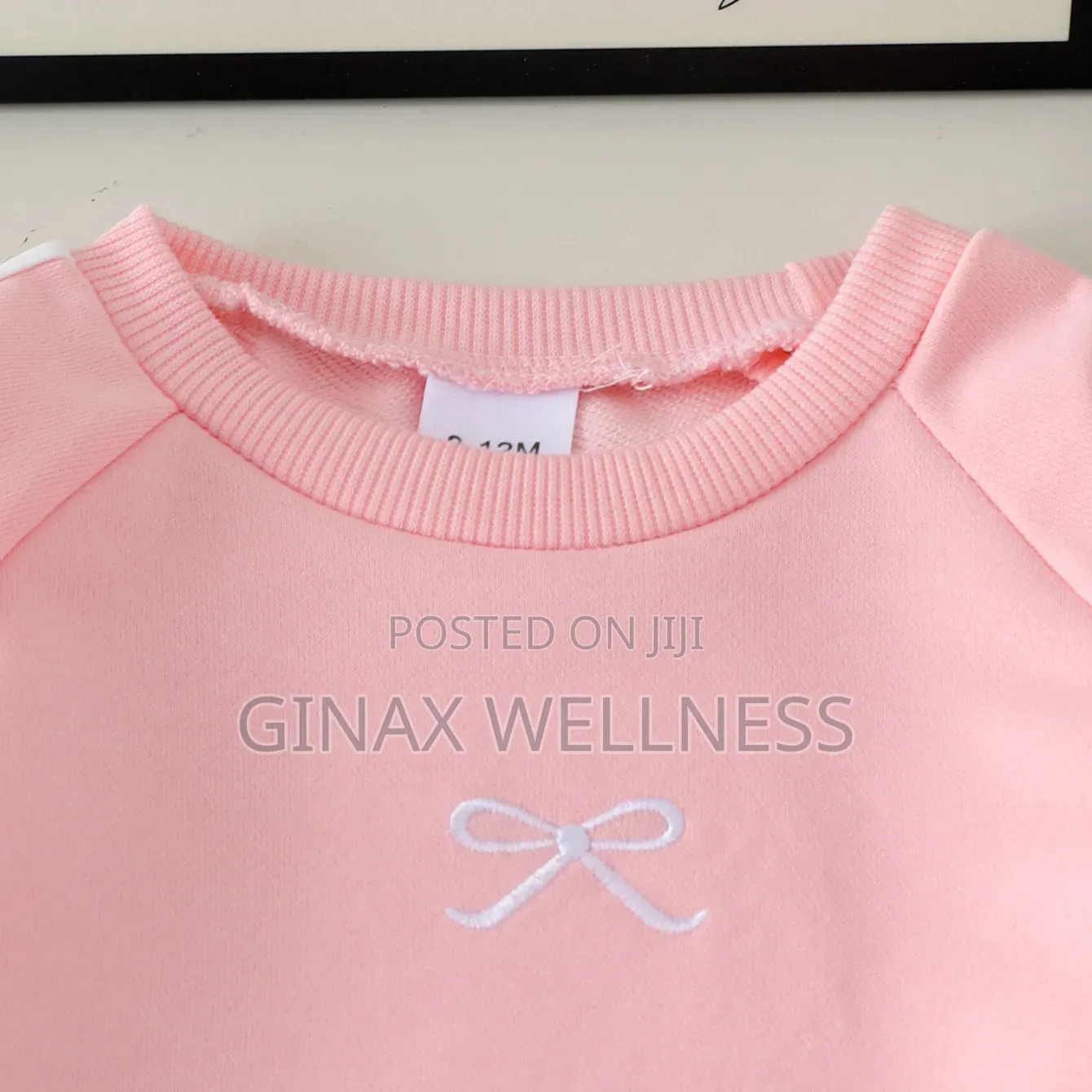 Baby Girls 2-Piece Tracksuit Set With Long Sleeve Sweatshirt & Joggers