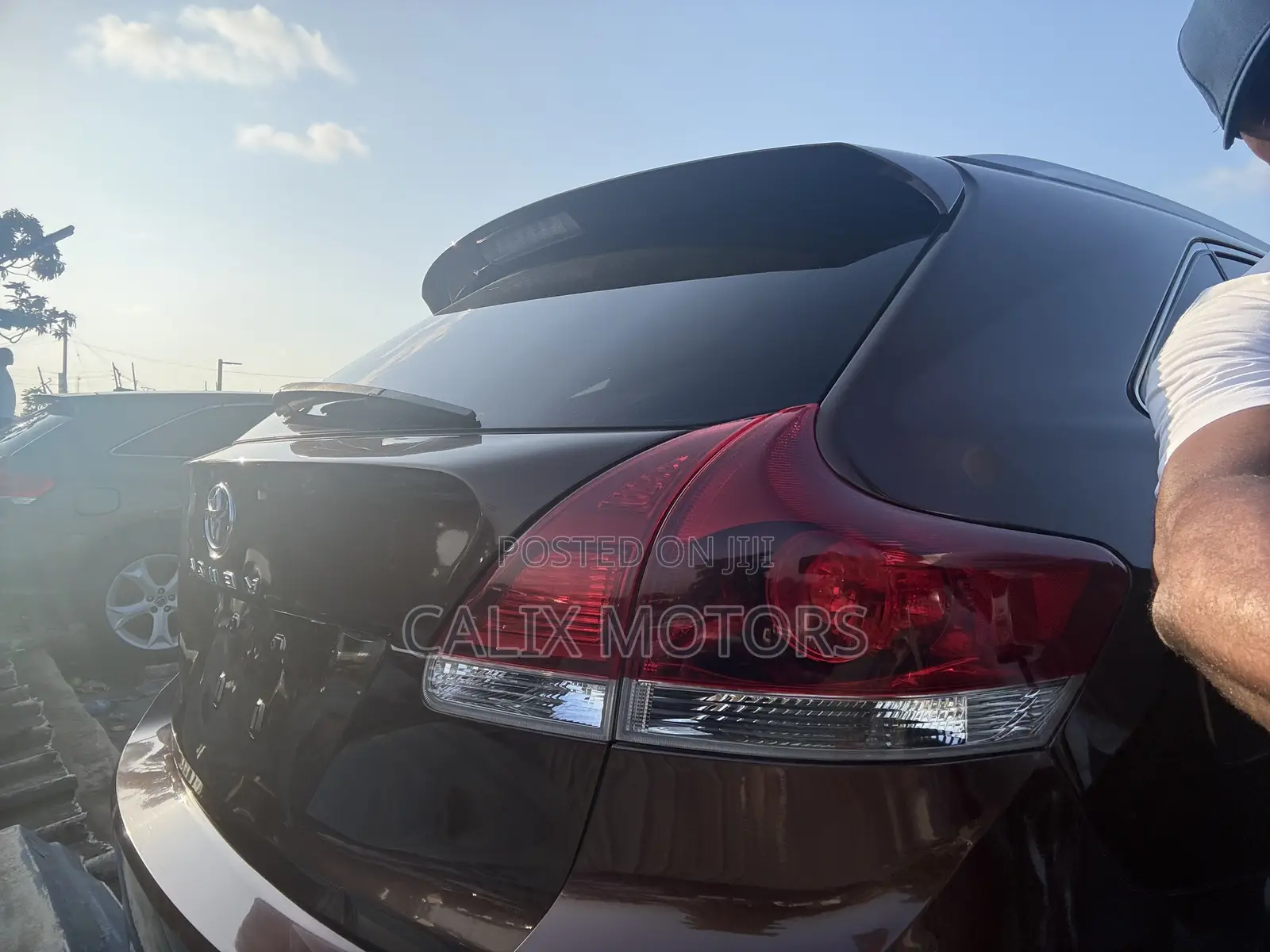 Toyota Venza 2012 Brown