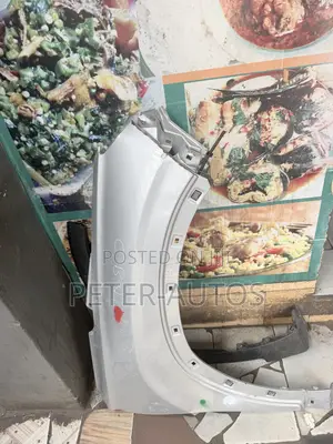 Set of Fender Santafee 2020