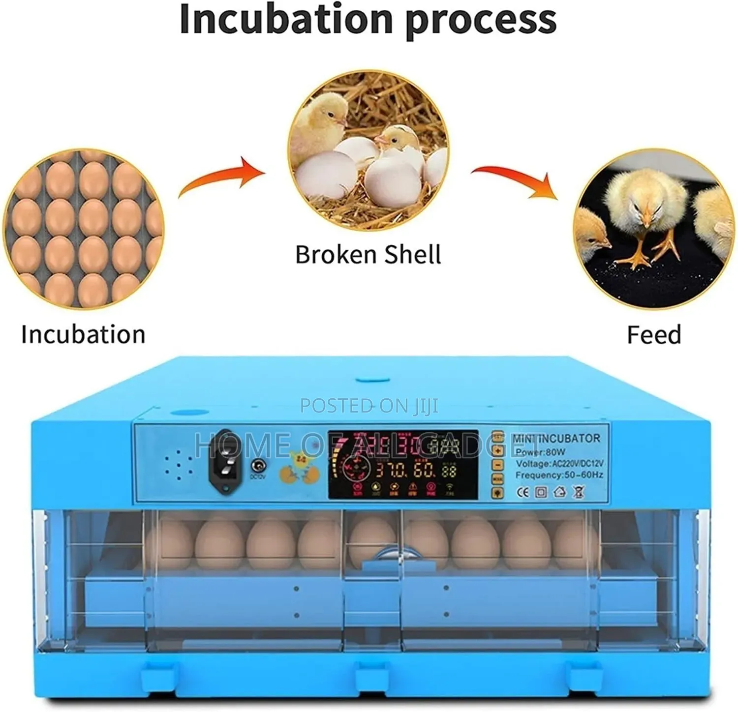 Egg Incubator With Automatic Egg Turning for Hatching Eggs Holds 64