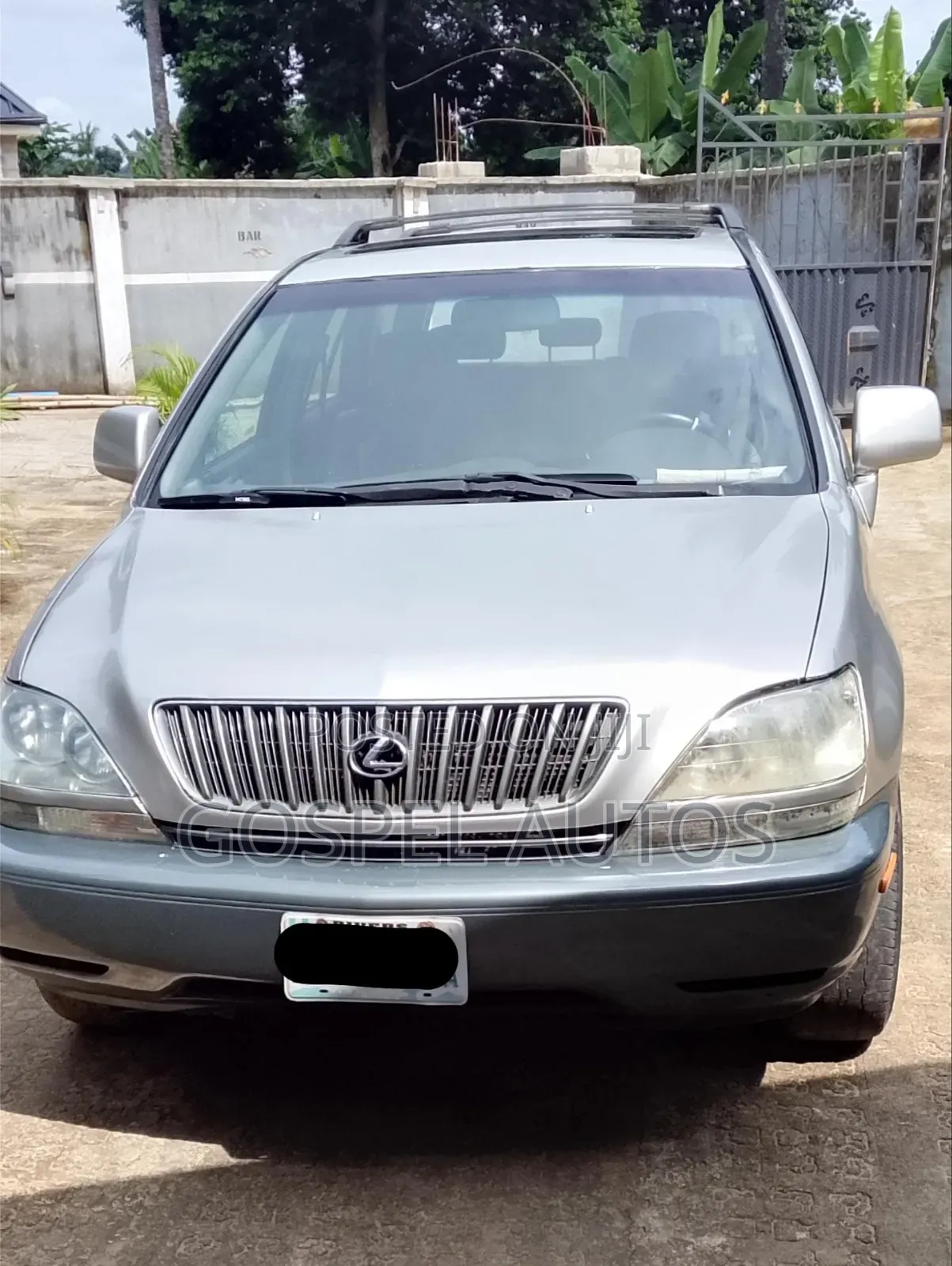 Lexus RX 2002 Silver