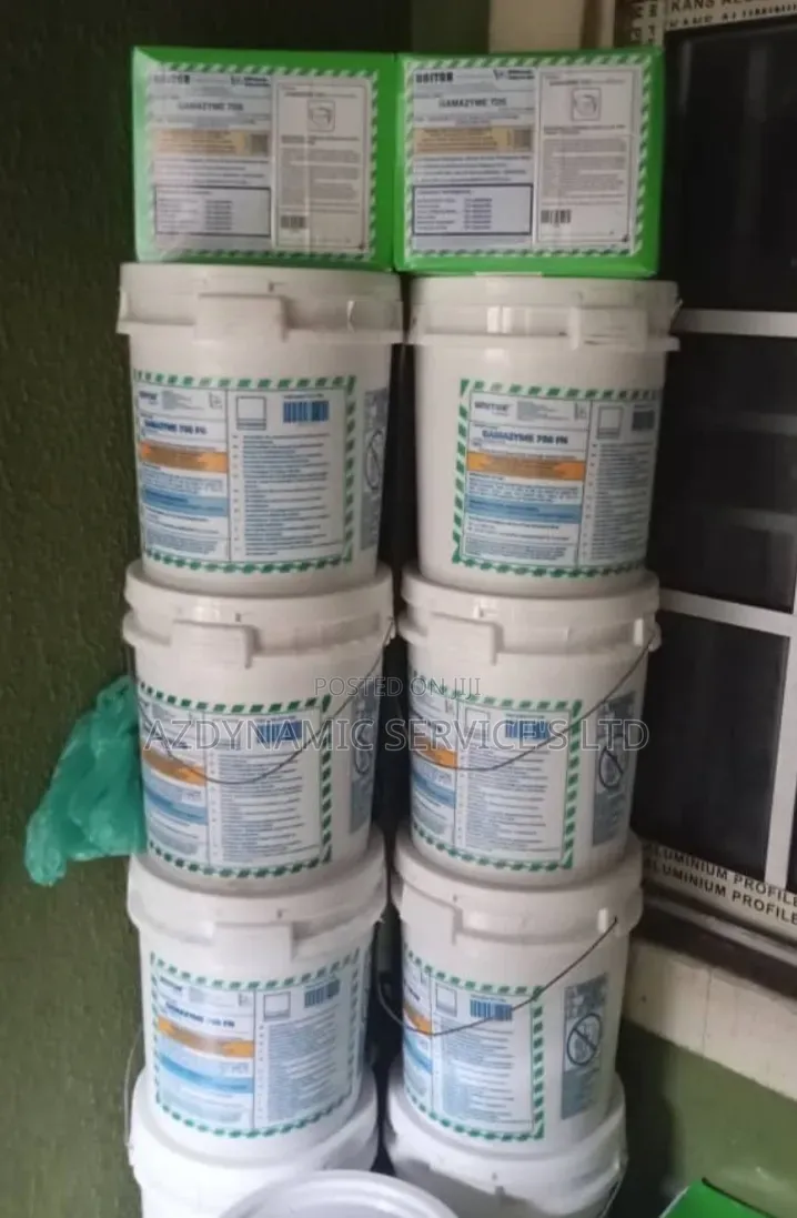 Gamazyn DPC Toilet Cleaner and Degreaser